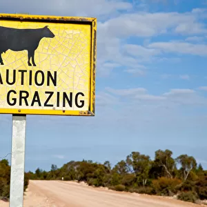 Cattle warning sign. Remote Australia