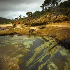 Images Dated 2011 April: 15 Apr 2011