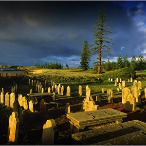 Cemetery dawn