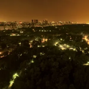 Central Park at night