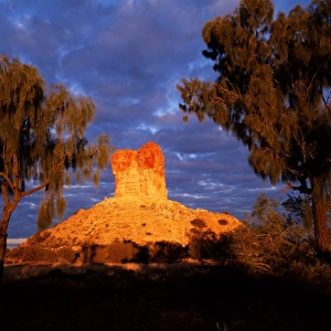 Chambers Pillar and Desert Oaks at Sunrise