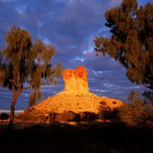 Chambers Pillar and Desert Oaks at Sunrise
