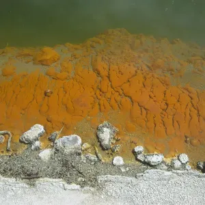 Champagne Pool, detail, Wai-o-Tapu thermal pools, Rotorua, North Island, New Zealand Champagne Pool, detail, Wai-o-Tapu thermal pools, Rotorua, North Island, New Zealand