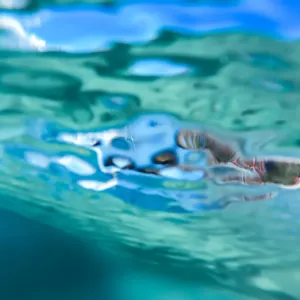 Chasing Clarity underneath the wave in the clear ocean waters