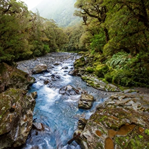 The Chasm in Fiordland National Park and Milford Sound Area in the Fiordland Region, Te Anau, South Island, New Zealand