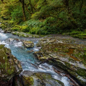 The Chasm in Fiordland National Park and Milford Sound Area in the Fiordland Region, Te Anau, South Island, New Zealand