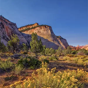 Chequerboard Mesa Zion national Park in south western United States