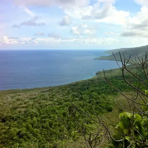 Christmas Island Shoreline | Australia