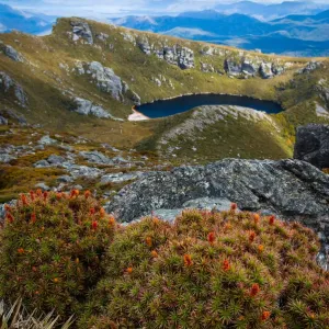 Cirque lake and heath, Western Arthurs, Tasmania Cirque lake and heath, Western Arthurs, Tasmania