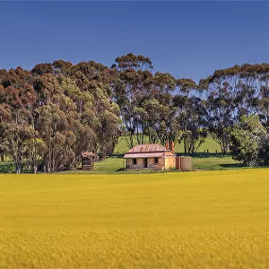 Clare valley panorama
