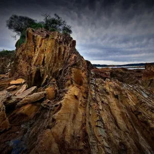 The Cliff face at Mossy Point The Cliff face at Mossy Point