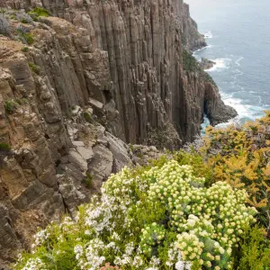 Cliffs at Cape Raoul on Tasman Peninsula, Tasmania Cliffs at Cape Raoul on Tasman Peninsula, Tasmania