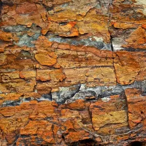 Bungle Bungles Textures Print