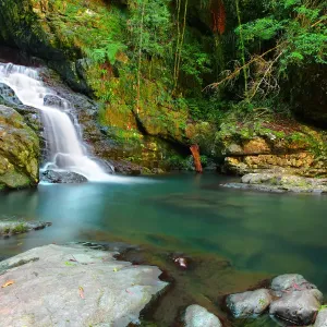 Coachwood Falls Coachwood Falls
