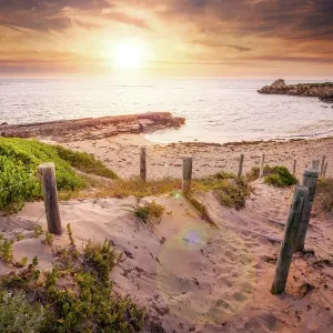 Popular Australian Destination Prints: Western Australia (WA)