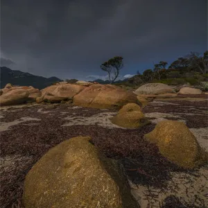 Coastal light Strzelecki National park, Flinders Island, Bass Strait, Tasmania