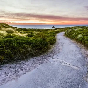 Coastal Path Print (Rockingham, Western Australia)