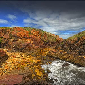 A coastal scene in the Tarkine Wilderness, West coastline of Tasmania, Australia