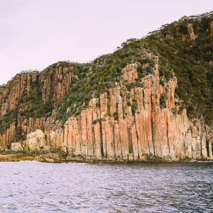 Coastal Sea Cliffs, Cape Pillar, Tasmania