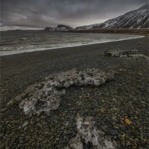 Images Dated 2014 March: 2 Mar 2014