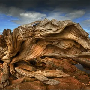 Images Dated 2012 February: 28 Feb 2012