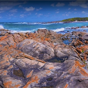 Coastal views, near Half Moon bay, King Island, Bass Strait, Tasmania, Australia