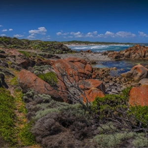 Coastline near Half Moon bay, King Island, Bass Strait Tasmania, Australia