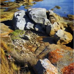 Images Dated 2008 November: 1 Nov 2008