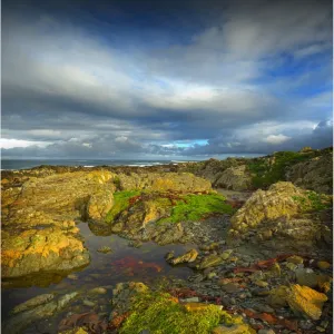 Coastline near Victoria cove in the North West corner of King Island, Bass Strait, Tasmania