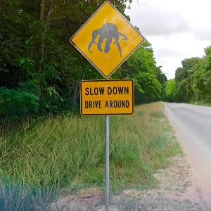 Coconut Crab Road Sign | Christmas Island Coconut Crab Road Sign | Christmas Island