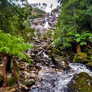 Columba Falls, Tasmania
