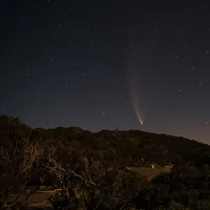 Comet McNaught