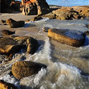 Conservation area on the coastline near St. Helens, Tasmania, Australia