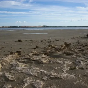 Coorong Coorong