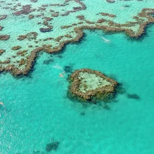 Coral Reef, Heart Reef, part of Hardy Reef, Outer Great Barrier Reef, Queensland