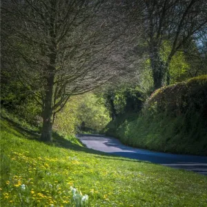 Country road at Cerne Abbas, Dorset, England, United Kingdom