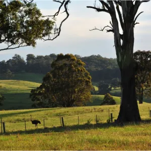 Countryside near Bairnsdale, Victoria, Australia