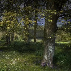 Images Dated 2017 May: 2 May 2017