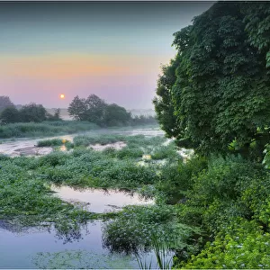 Countryside view along the Stour River at dawn, Dorset, England, United kingdom