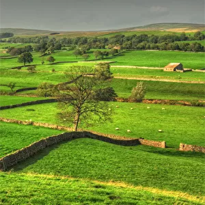 Countryside Yorkshire Dales