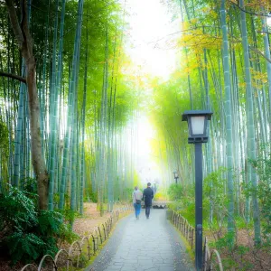 A couple walking on Bamboo Forest Pass at Shuzenji