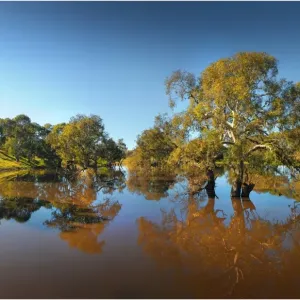 Images Dated 2011 June: 1 Jun 2011