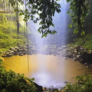 Crystal Shower Falls Print, Dorrigo National Park NSW