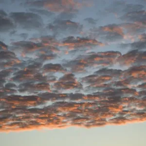 Many cumulus clouds covering the sky at dusk