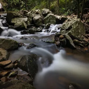 curtis falls, gold coast