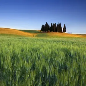Images Dated 2012 May: 16 May 2012