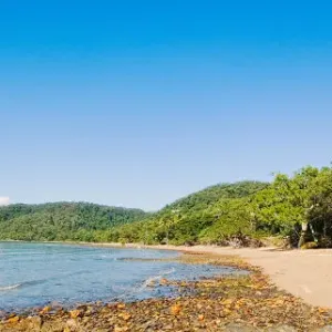 The Daintree far north Queensland The Daintree far north Queensland