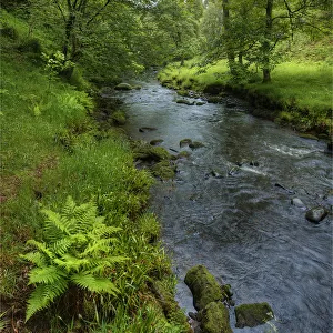 Dane river Staffordshire, England