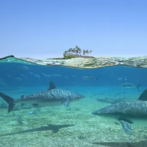 Dangerous Waters Dangerous Waters