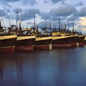 Darwin fishing fleet Darwin fishing fleet